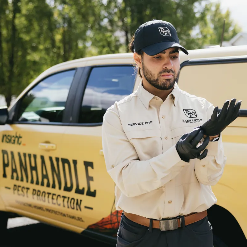 Técnico de control de plagas de Panhandle Pest Protection poniéndose guantes negros junto a una camioneta rotulada