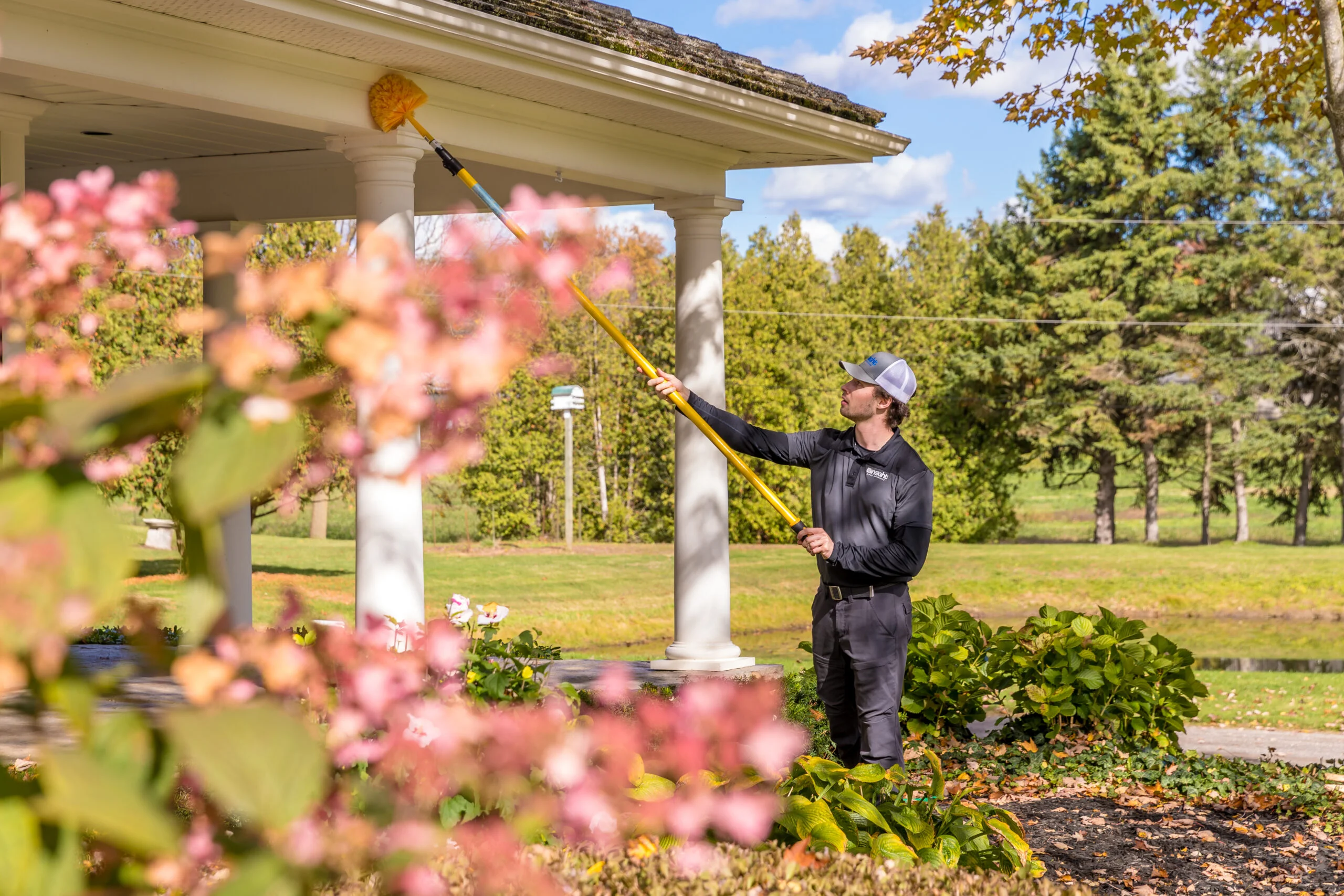 Servicios profesionales de control de plagas - Insight Pest Solutions