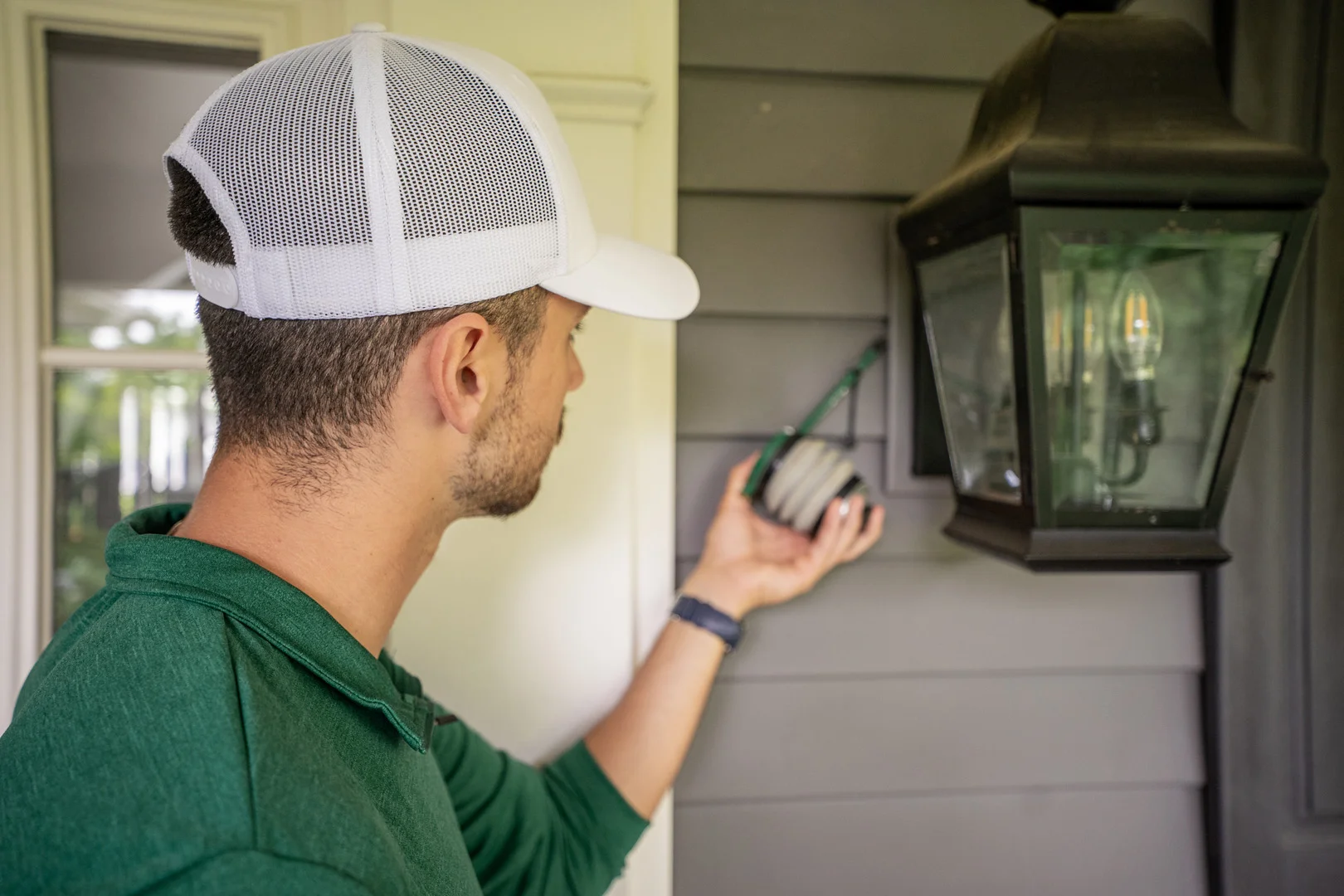 Servicios de control de avispas - Insight Pest Solutions